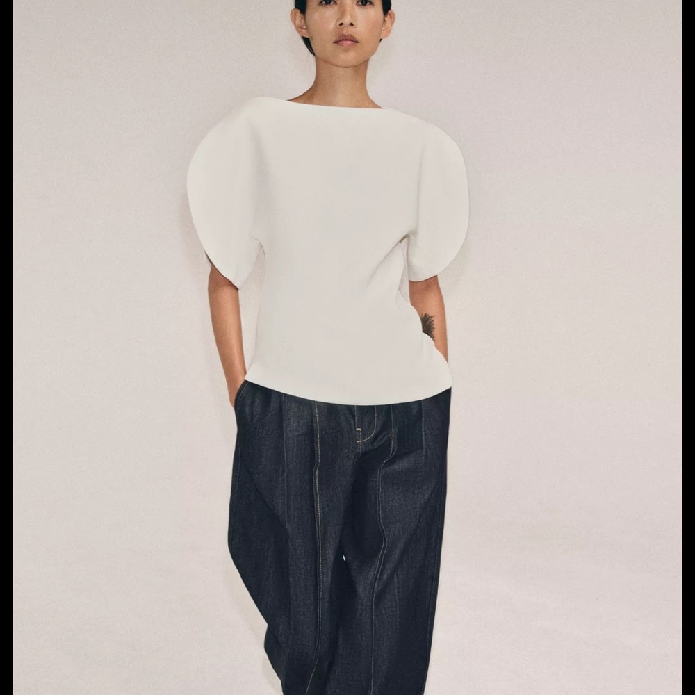 Zara balloon sleeve top - NWT